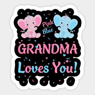 Grandma Gender Reveal Elephant Pink Or Blue Matching Family Sticker